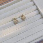 White Round Crystal Hanging Earrings